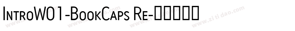 IntroW01-BookCaps Re字体转换
